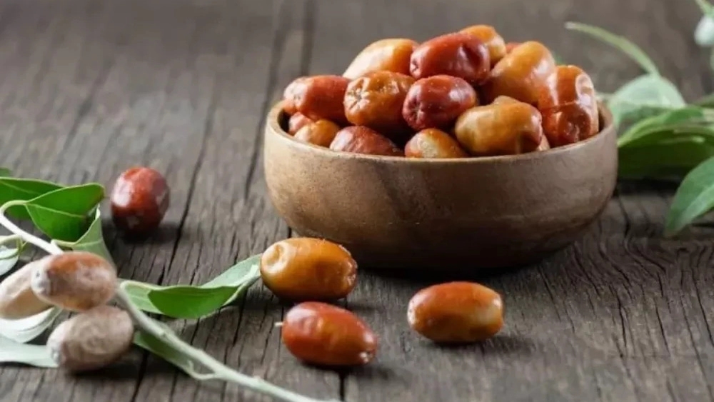خرید سنجد دزفول با گارانتی رشد