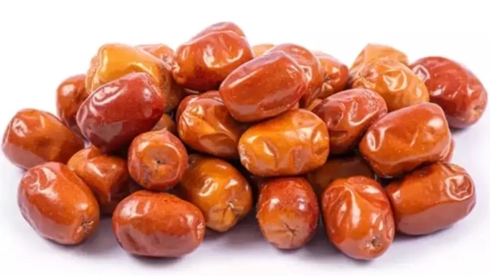 خرید نهال سنجد شاه حسینی دزفول